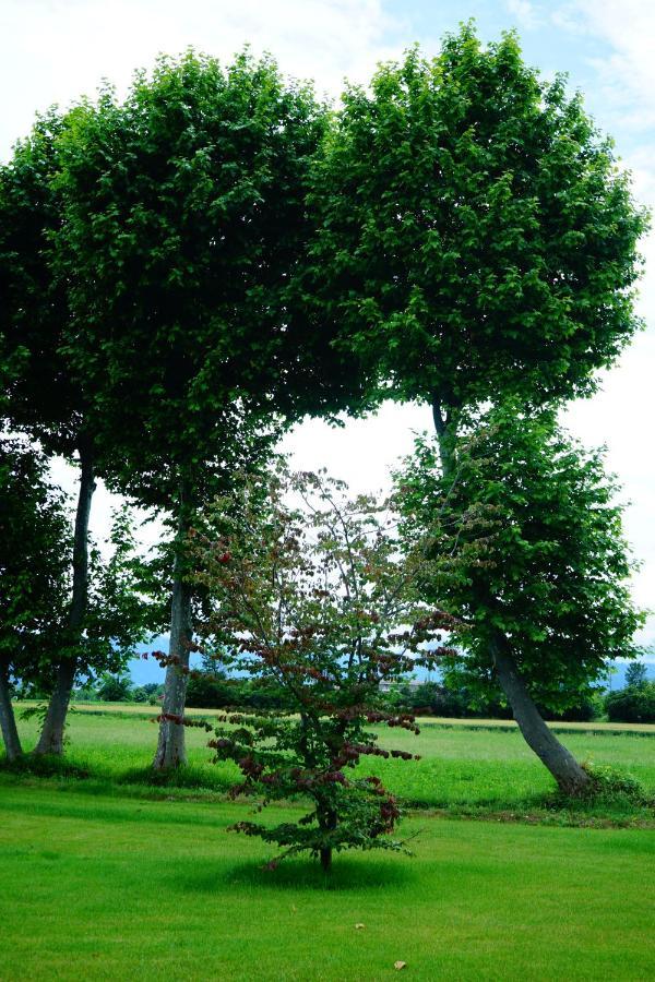 Casa Vola Bisalta Bed & Breakfast Cuneo Exterior photo